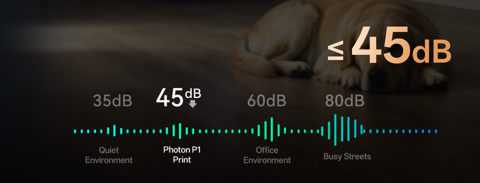 ANYCUBIC3D-EU