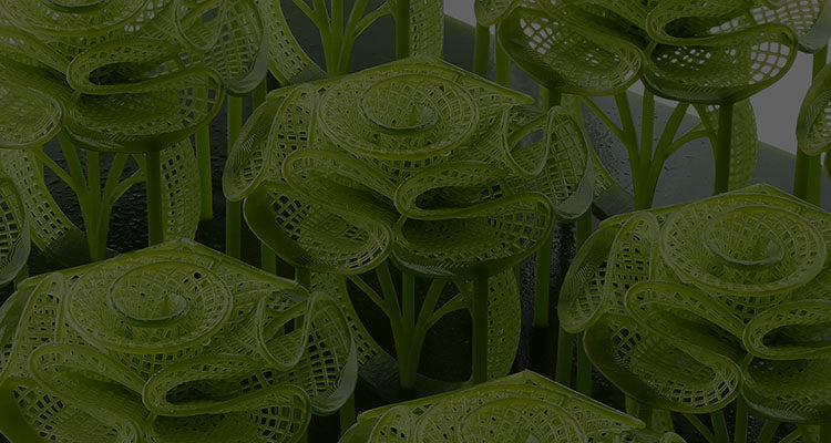 ANYCUBIC3D-EU