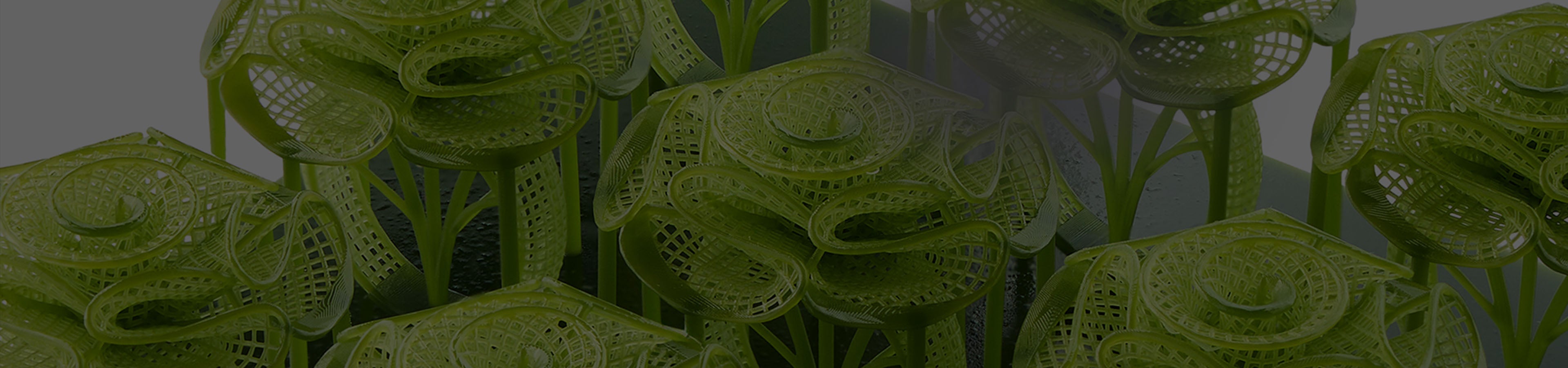 ANYCUBIC3D-EU