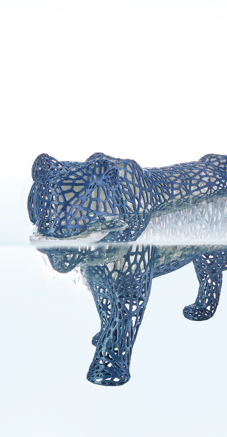 ANYCUBIC3D-EU