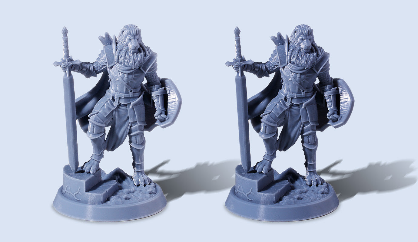 ANYCUBIC3D-EU
